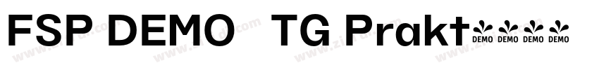 FSP DEMO   TG Prakt字体转换